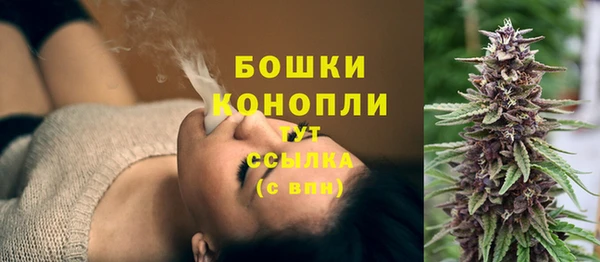 прущие крисы Инта