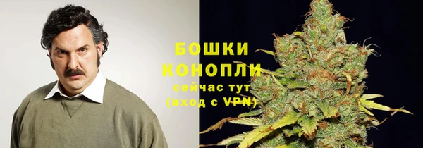 мет Инсар