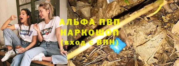 мет Инсар