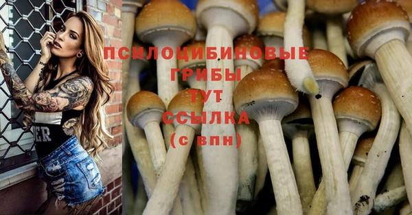 прущие крисы Инта