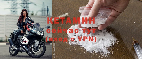 прущие крисы Инта