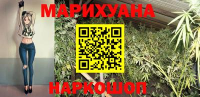 гидропоника Пугачёв