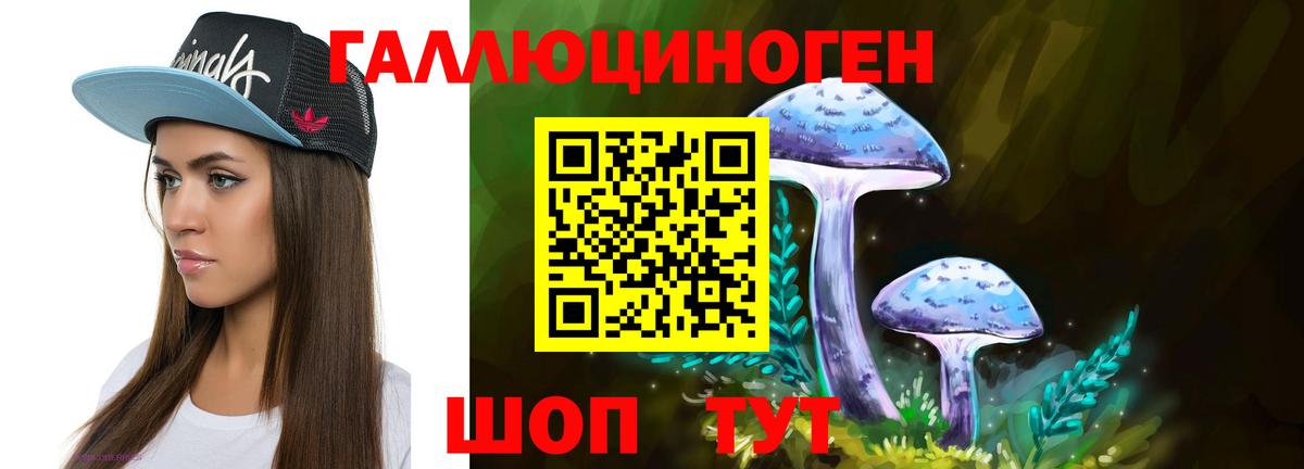 Удомля  Галлюциногенные грибы Psilocybe  Псилоцибиновые грибы Psilocybe  Вход с VPN 