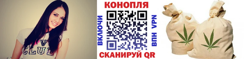 купить   Удомля  Конопля Amnesia 